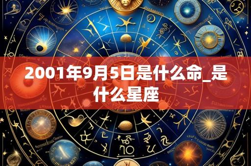 2001年9月5日是什么命_是什么星座
