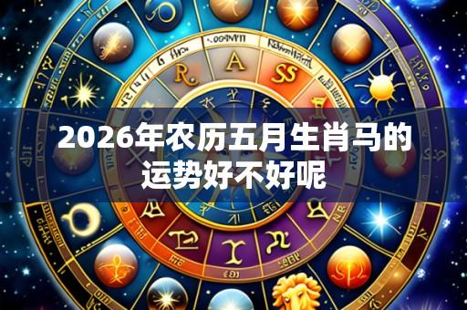 2026年农历五月生肖马的运势好不好呢