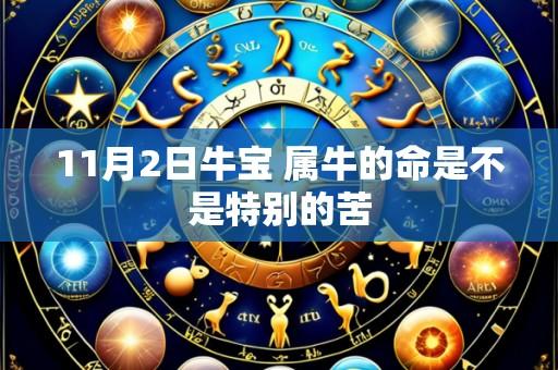 11月2日牛宝 属牛的命是不是特别的苦