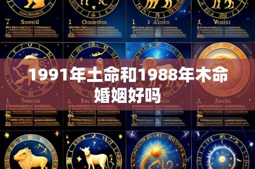 1991年土命和1988年木命婚姻好吗