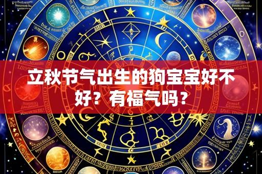 立秋节气出生的狗宝宝好不好？有福气吗？