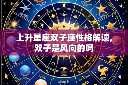 上升星座双子座性格解读,双子是风向的吗