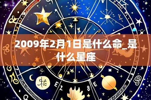 2009年2月1日是什么命_是什么星座