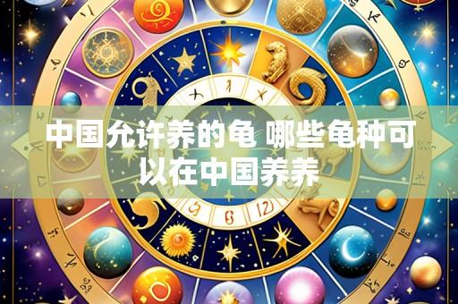 中国允许养的龟 哪些龟种可以在中国养养