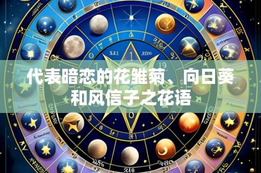 代表暗恋的花雏菊、向日葵和风信子之花语