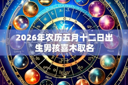 2026年农历五月十二日出生男孩喜木取名