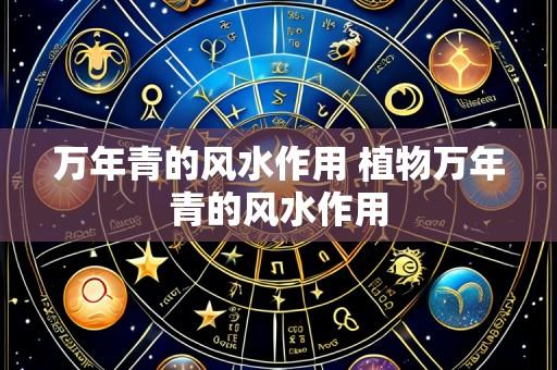 万年青的风水作用 植物万年青的风水作用