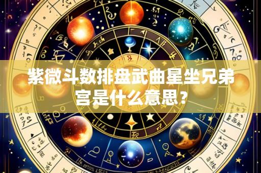 紫微斗数排盘武曲星坐兄弟宫是什么意思？