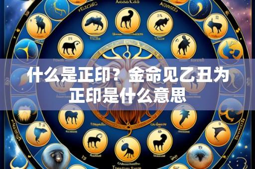 什么是正印?金命见乙丑为正印是什么意思