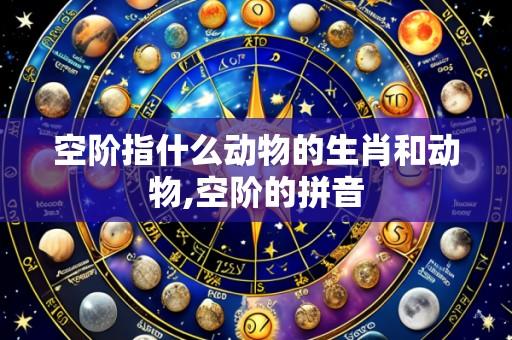 空阶指什么动物的生肖和动物,空阶的拼音
