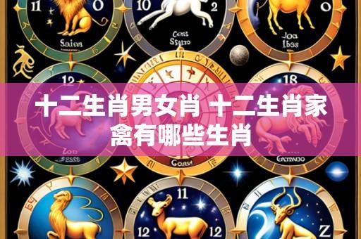 十二生肖男女肖 十二生肖家禽有哪些生肖