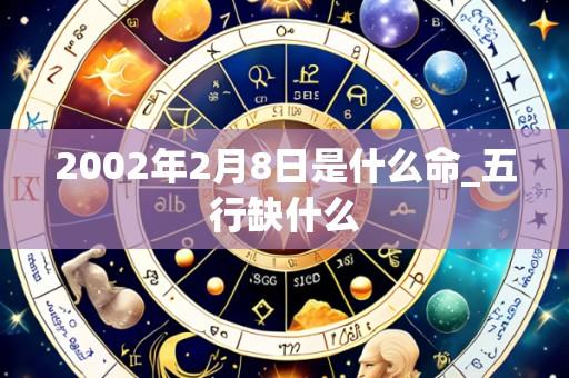 2002年2月8日是什么命_五行缺什么
