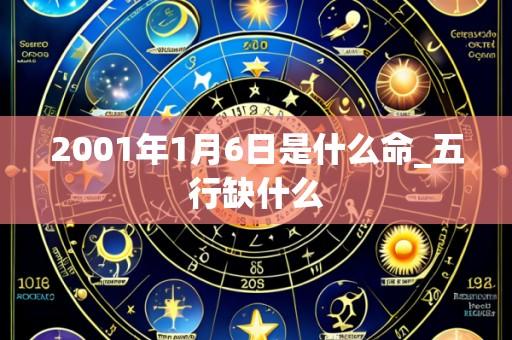 2001年1月6日是什么命_五行缺什么