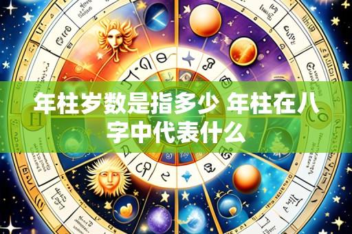 年柱岁数是指多少 年柱在八字中代表什么