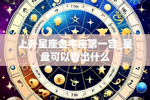 上升星座金牛座第一宫_星盘可以看出什么