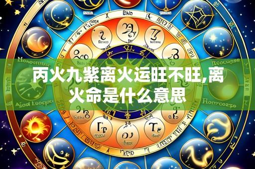 丙火九紫离火运旺不旺,离火命是什么意思