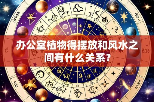 办公室植物得摆放和风水之间有什么关系?