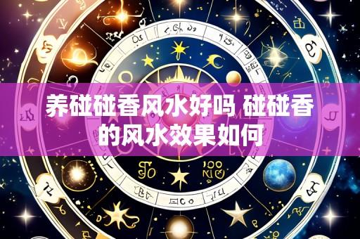 养碰碰香风水好吗 碰碰香的风水效果如何