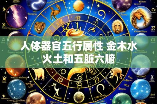 人体器官五行属性 金木水火土和五脏六腑