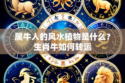 属牛人的风水植物是什么?生肖牛如何转运