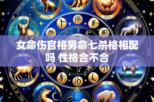 女命伤官格男命七杀格相配吗 性格合不合