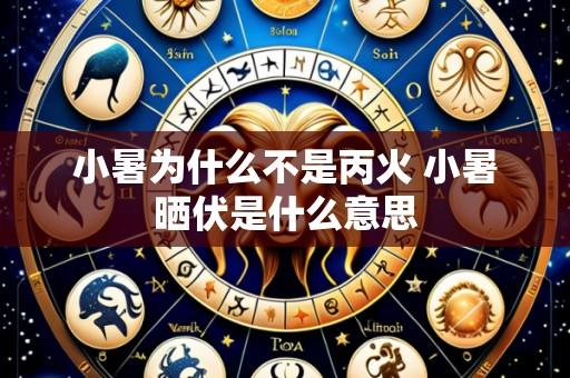 小暑为什么不是丙火 小暑晒伏是什么意思