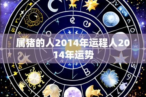 属猪的人2014年运程人2014年运势