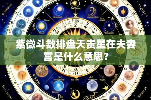 紫微斗数排盘天贵星在夫妻宫是什么意思？