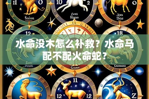 水命没木怎么补救？水命马配不配火命蛇？