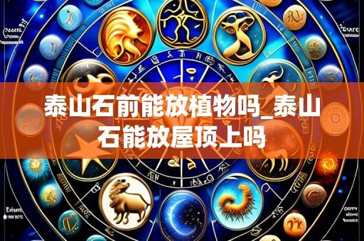 泰山石前能放植物吗_泰山石能放屋顶上吗