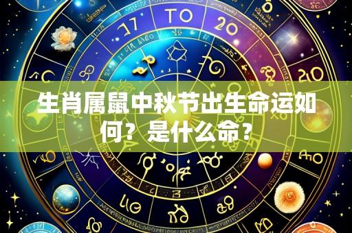 生肖属鼠中秋节出生命运如何？是什么命？