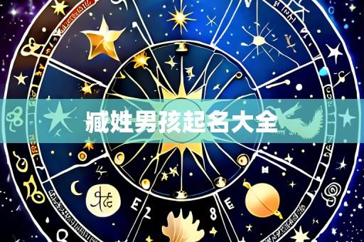 臧姓男孩起名大全