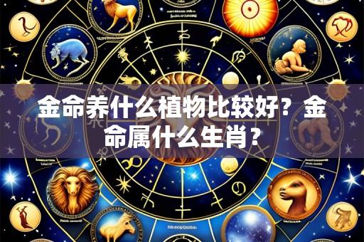 金命养什么植物比较好?金命属什么生肖?