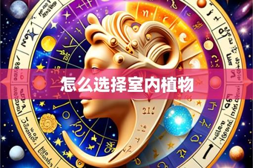 怎么选择室内植物