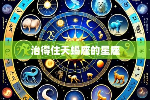 治得住天蝎座的星座