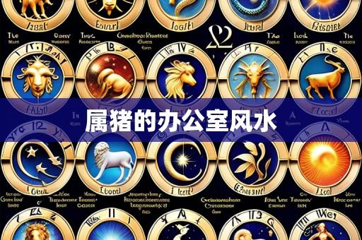 属猪的办公室风水