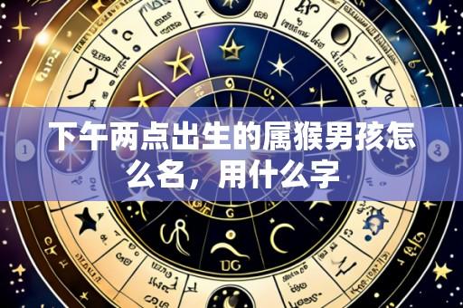 下午两点出生的属猴男孩怎么名，用什么字