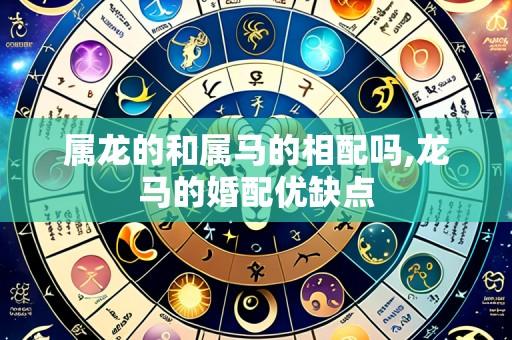属龙的和属马的相配吗,龙马的婚配优缺点