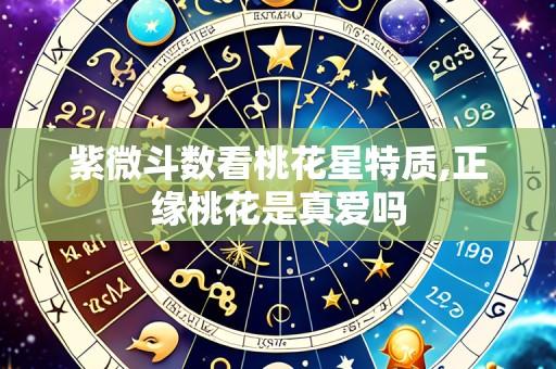 紫微斗数看桃花星特质,正缘桃花是真爱吗