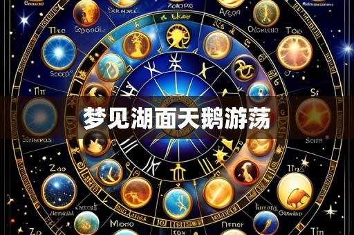 梦见湖面天鹅游荡