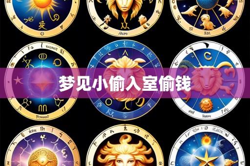 梦见小偷入室偷钱