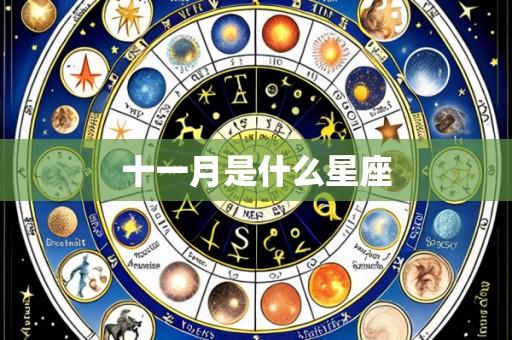 十一月是什么星座