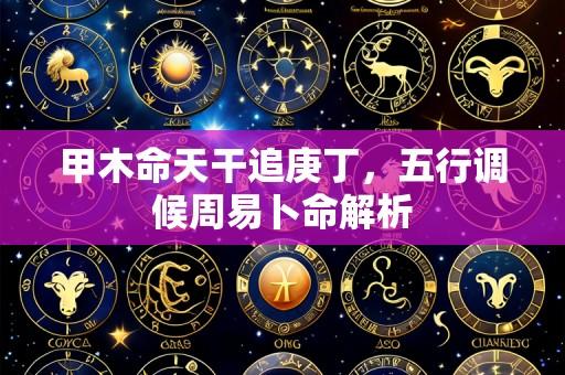 甲木命天干追庚丁,五行调候周易卜命解析