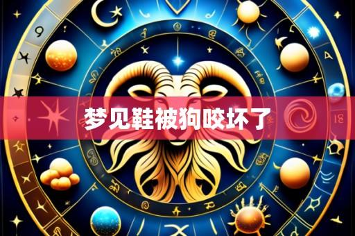 梦见鞋被狗咬坏了