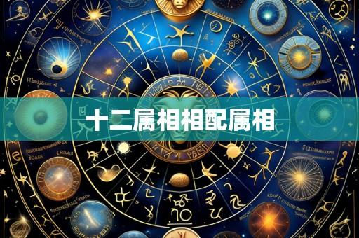 十二属相相配属相