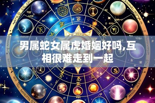 男属蛇女属虎婚姻好吗,互相很难走到一起
