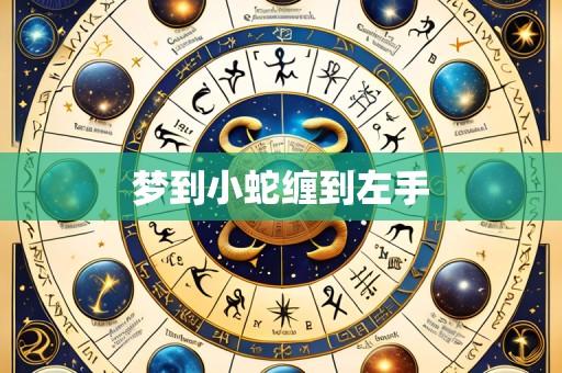 梦到小蛇缠到左手