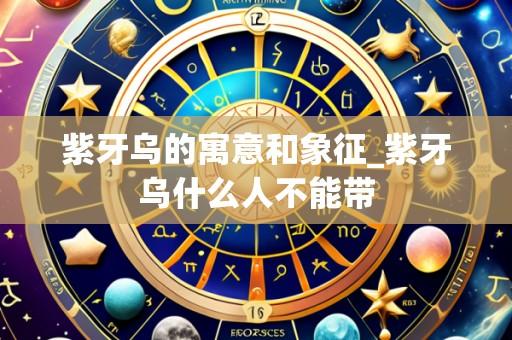 紫牙乌的寓意和象征_紫牙乌什么人不能带