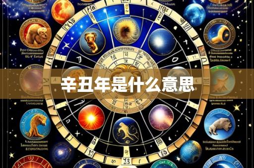 辛丑年是什么意思