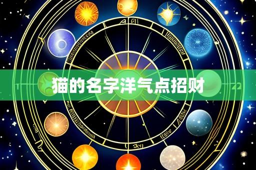猫的名字洋气点招财